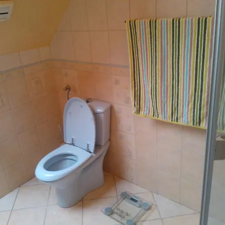 House * ドボゴコ